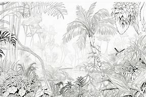 Image result for Jungle Bird Drawing