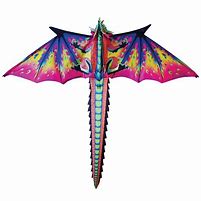 Image result for Davison Dragon Kite