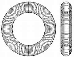 Image result for Toroidal Shape