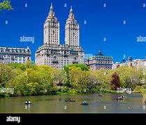 Image result for Central Park New York Summer Heat