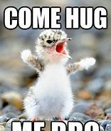 Image result for cute hug meme animals