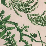 Image result for Bright Green Leaves Poster