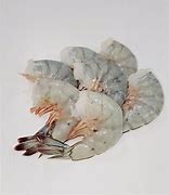 Image result for Mexican Blue Shrimp