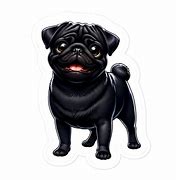 Image result for Kawaii Pug Black and White