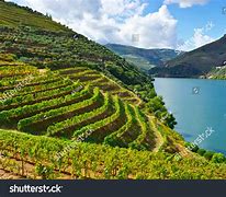 Image result for Portugal Rural Salazar