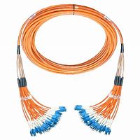 Image result for Fiber Optic Trunk