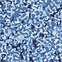 Image result for Us Navy Blue Digital Camo