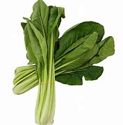 Image result for Choy Sum