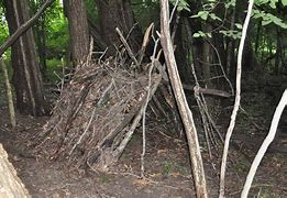 Image result for Build Survival Shelter