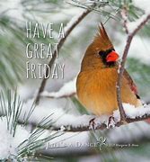 Image result for Happy Friday Birds