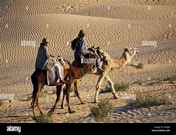 Image result for Sahara Desert with Camels Tunisie