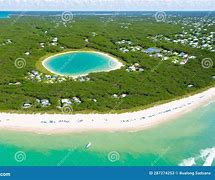 Image result for Apollo Beach Nature Preserve