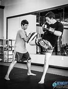 Image result for Kickboxing Pole