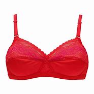 Image result for Tassled Bra