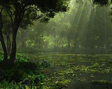 Image result for Rain Scenery Wallpaper