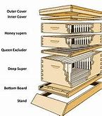 Image result for Bee Hive Parts