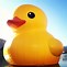 Image result for Yellow Rubber Duck