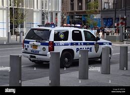 Image result for K9 Police Car