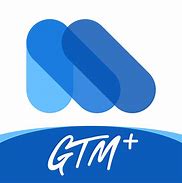 Image result for White GTM