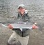 Image result for Steelhead Fly Fishing