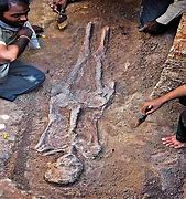 Image result for Oldest Human Skeleton Found