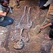 Image result for Angel Skeleton Found