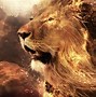 Image result for Fire and Ice Lion