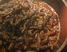 Image result for Cooked Worms