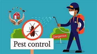 Image result for Pest Control Services Images