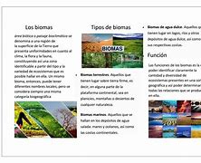 Image result for Biomas Terrestres