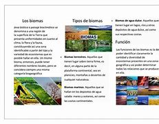 Image result for Ideas De Titulos De Los Biomas