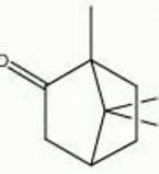 Image result for Camphor Chemical Structure