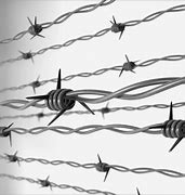 Image result for Barb Wire Line