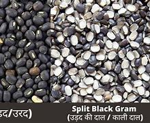 Image result for Urad Dal Skinless