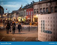 Image result for Novi Sad Stone Age