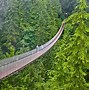 Image result for World's Most Dangerous Bridges Photos