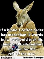 Image result for Aussie Jokes