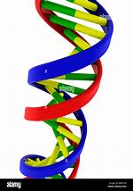 Image result for A Double Helix and a Polymer