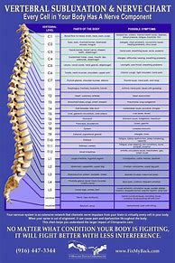 Image result for Spinal Nerve Function Chart