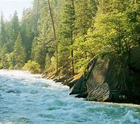 Image result for Sequoia and Kings Canyon Search and Rescue