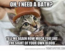 Image result for Cat Bathtub Meme