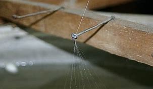 Image result for Reeling Silk Fibre