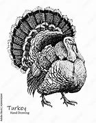 Image result for Animated Turkey Bird Printable