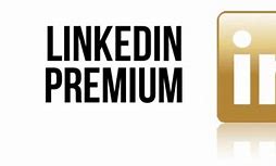 Image result for LinkedIn Premium Icon