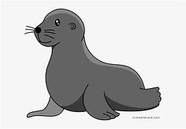 Image result for Sea Lion PFP