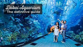 Image result for Aquarium Salon