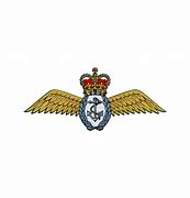 Image result for Fleet Air Arm Badge Engines