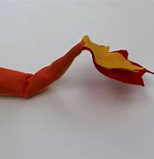 Image result for Charmander Tail