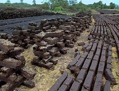 Image result for Carbon in Peat Bog