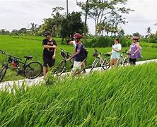 Image result for Cycling Ubud Bali